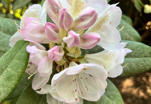 23-06-03 16-59-51 5809